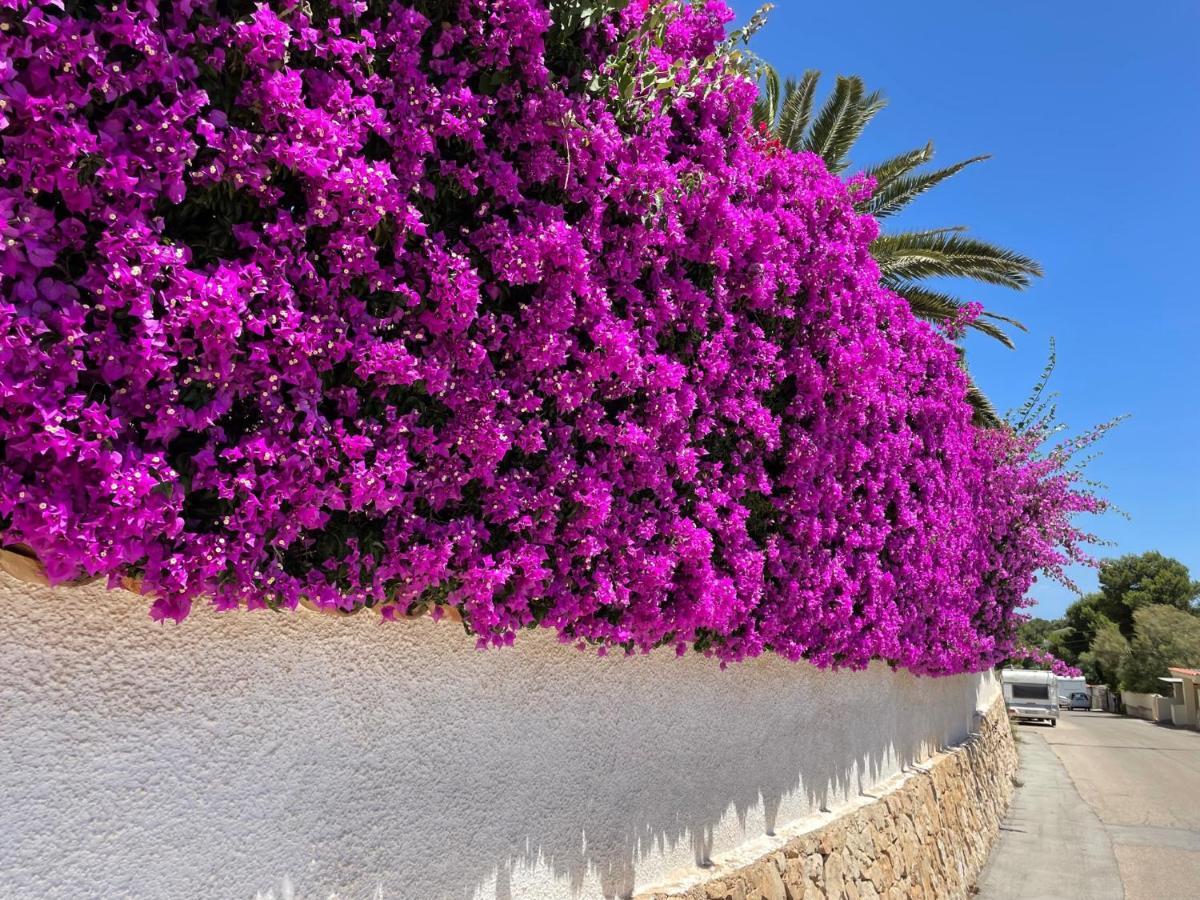 Casa Soluna خافييا المظهر الخارجي الصورة